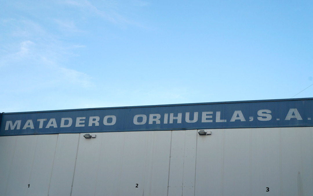 Matadero Orihuela, SA y la sequía