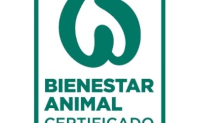 Certificación en bienestar animal